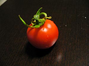 uti_tomato