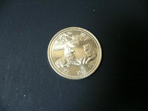 南極地域観測50周年記念　の500円硬貨