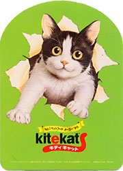 kitekats01